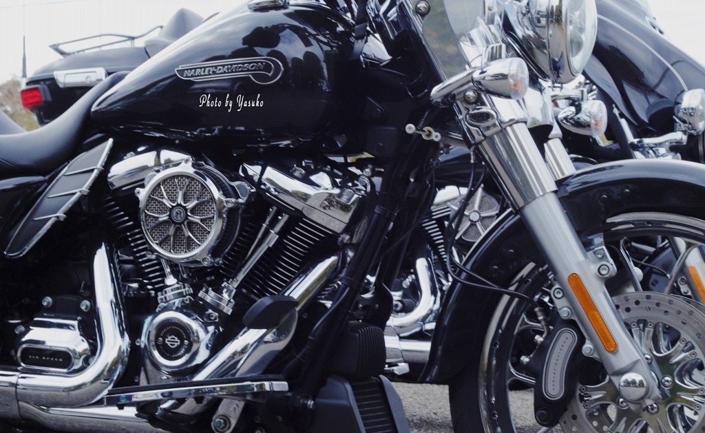 HARLEY-DAVIDSON