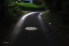 いつものお散歩道