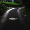 いつものお散歩道