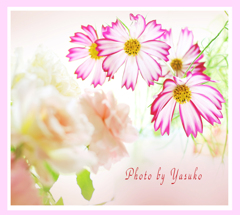 気分は上向き◝(⑅•ᴗ•⑅)◜..°♡