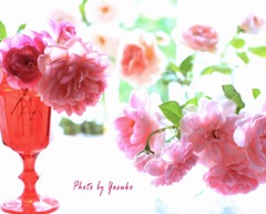 薔薇（コーヒータイムは薔薇と）