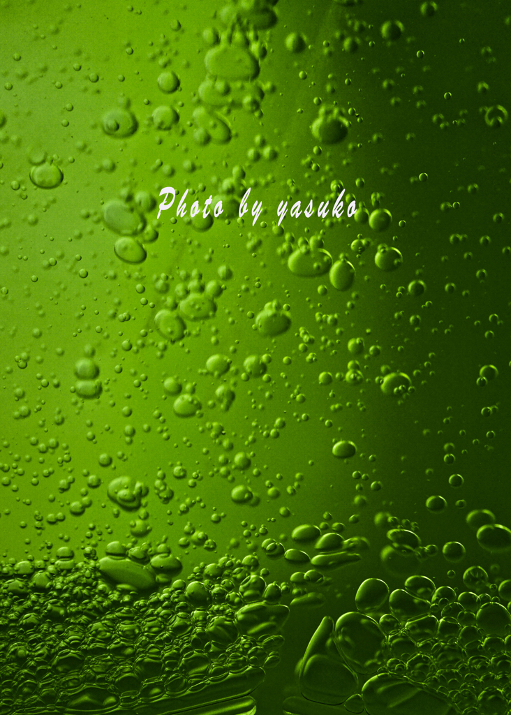 美味しい季節です。