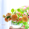 お部屋に薔薇を