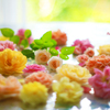 庭の花(薔薇）