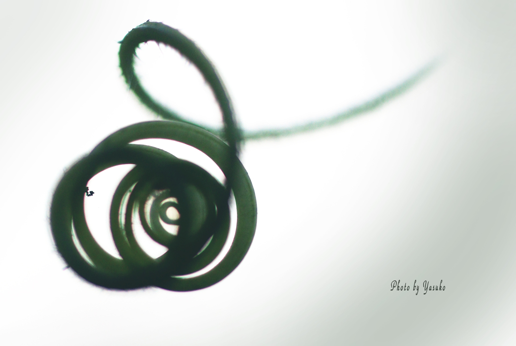 くるくるくる！！