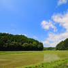  田の風景