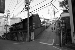 元旦