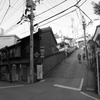 元旦