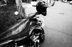 WR250X