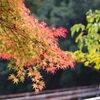 菊池渓谷02