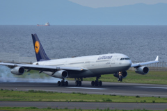 Lufthansa Airbus A340-300 NGO Landing