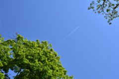 ヒコーキ雲