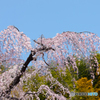 DP3M4063_VE