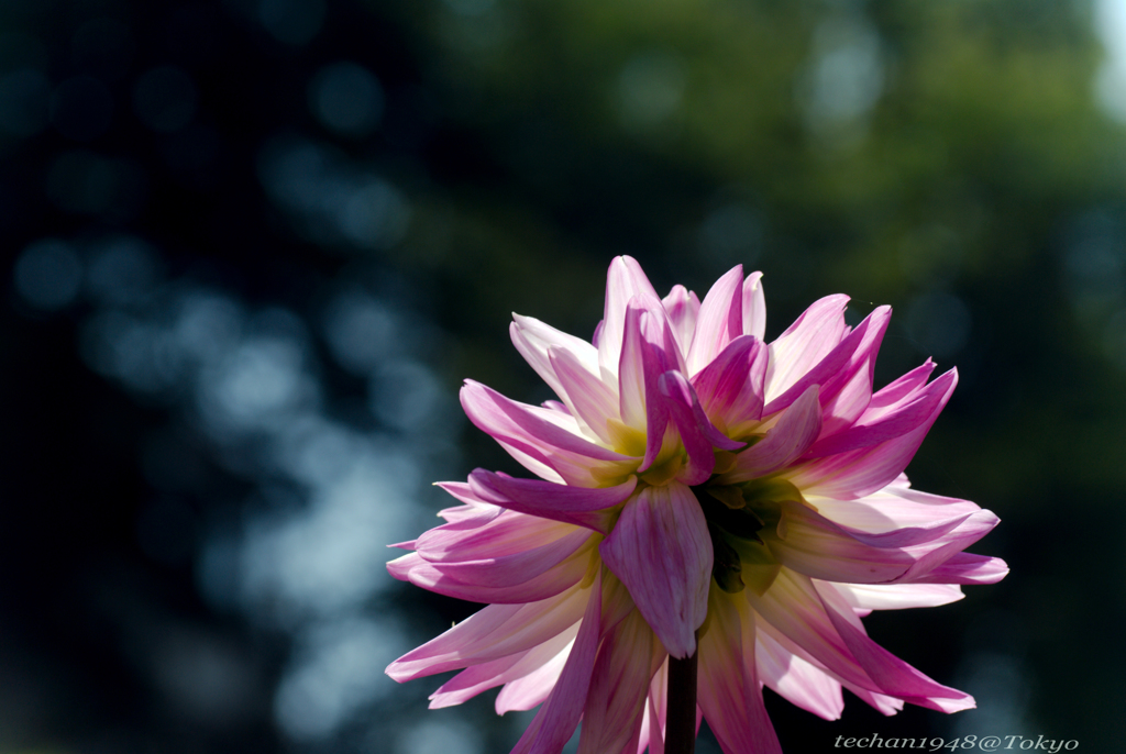 NDC_20170909_186_asp-HE