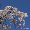 DP3M4124_LE