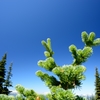 20150731_NDF_CS2-150-VN