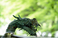 大雄山最乗寺_2022