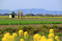 田園風景