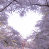 弘前公園