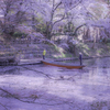 弘前公園２