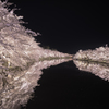 弘前公園３