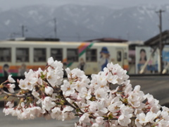 桜と鉄道娘と壁画の女性と