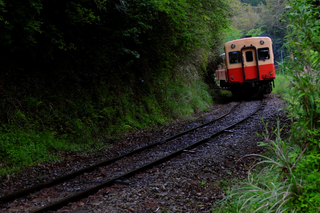 雨上がり　小湊鉄道