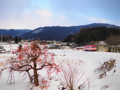 雪中柿木　桜色の列車とともに