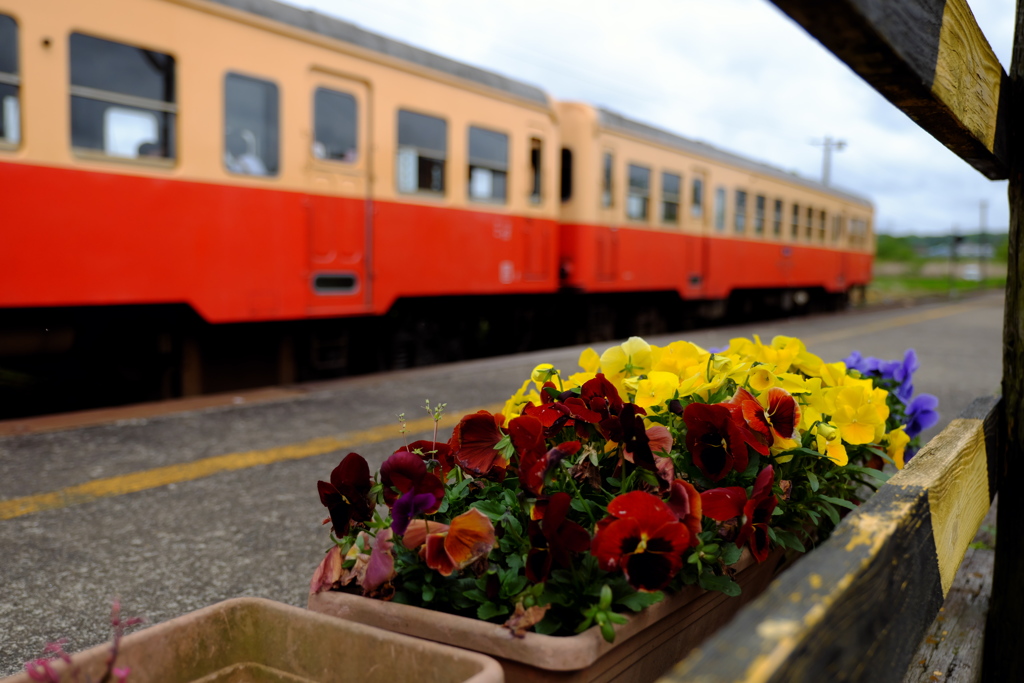 フラワーのあるホーム　海士有木駅　その2