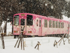 モノクロの情景に桜咲く