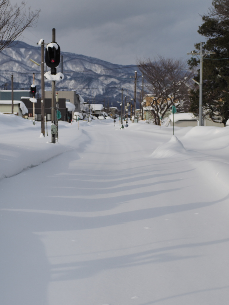 線路はいずこに（雪のため運休）