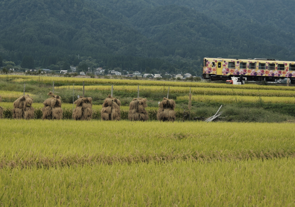 杭掛けの風景　山形鉄道