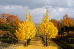 あずま総合公園にて