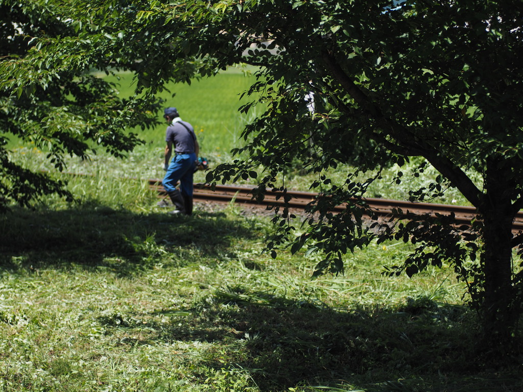 荒砥駅構内草刈作業
