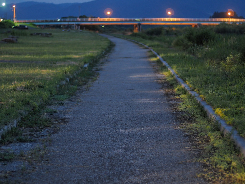 球場横の散歩道