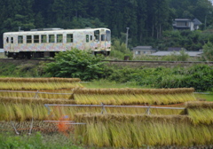 天日干し