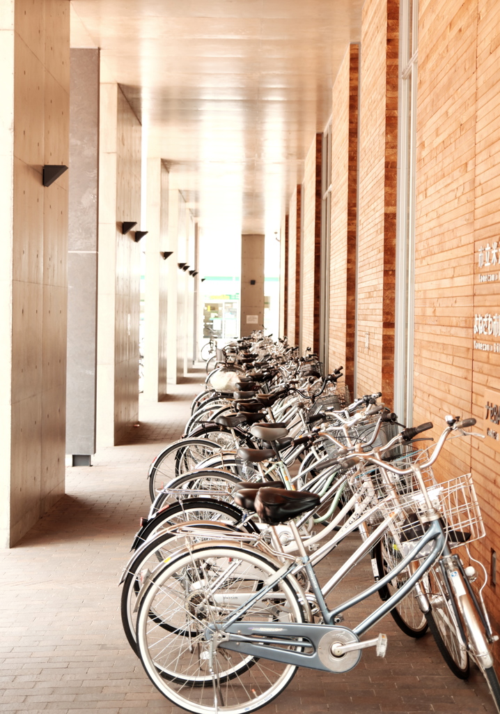 知と未来　図書館にて