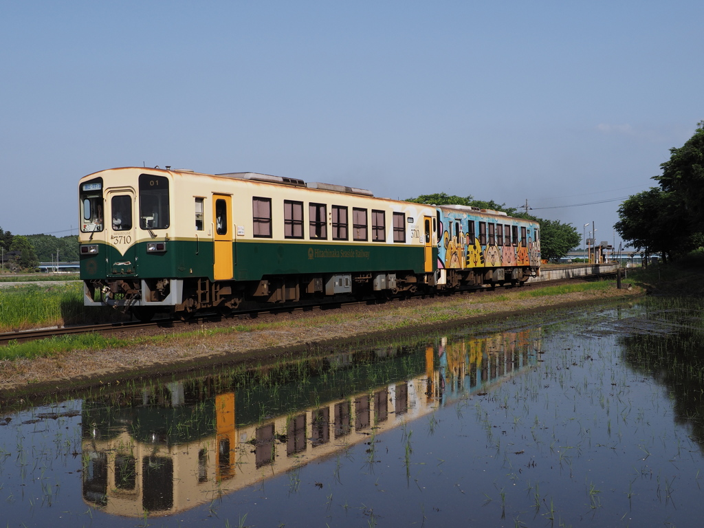 田んぼの水鏡　その2