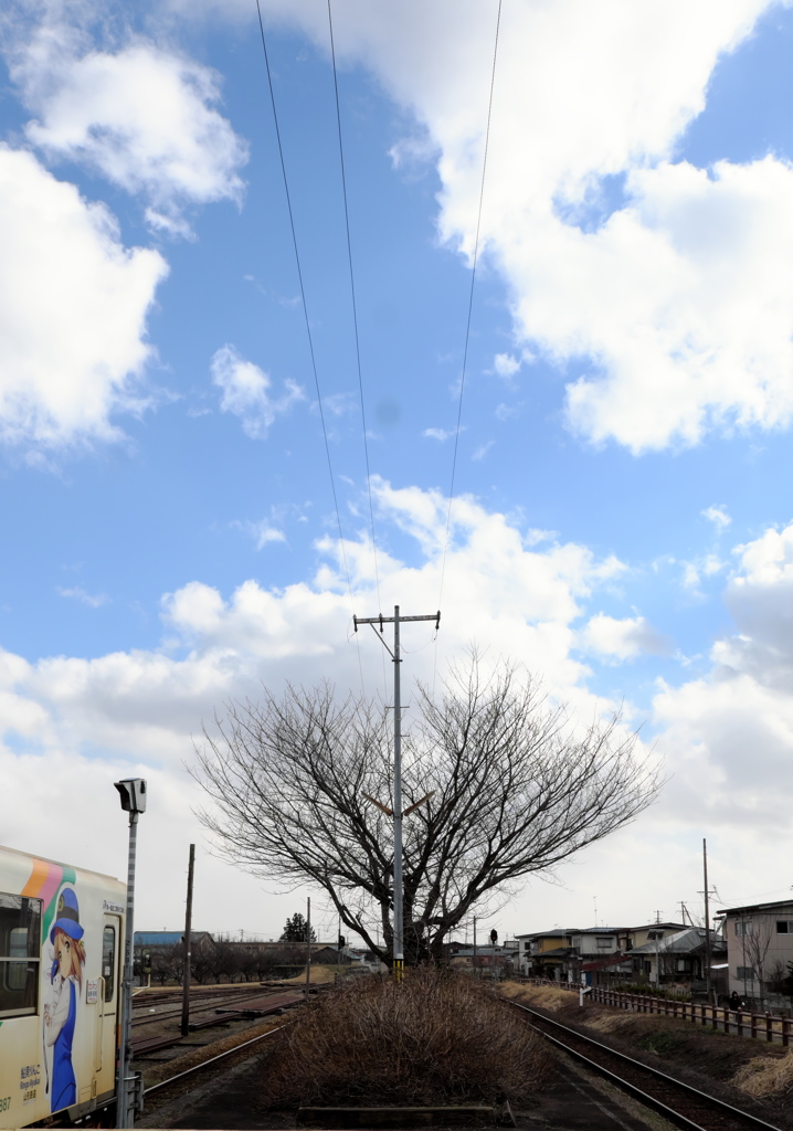 もうすぐ春ですねえ　の空の色