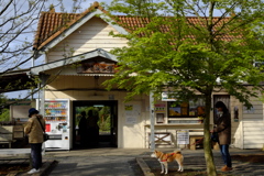 小湊鉄道　養老渓谷駅