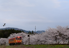 桜の中の紅花列車