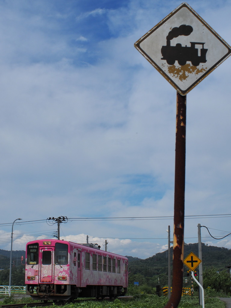 オールドレンズ初ショット