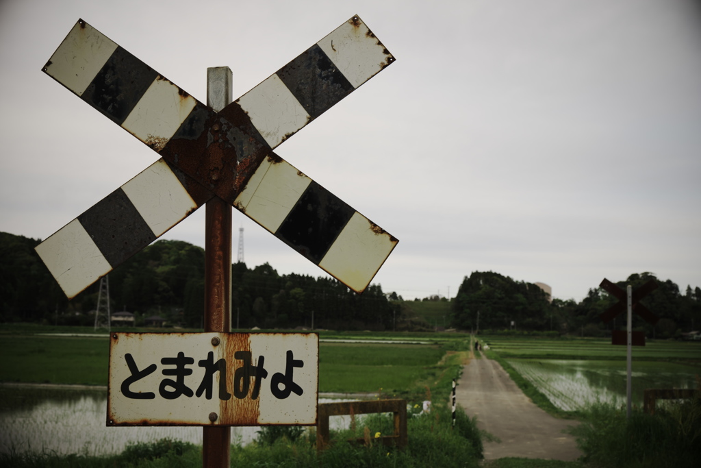 いすみ鉄道　とまれみよ