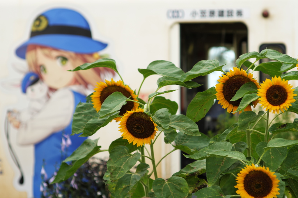 夏の終わりに　羽前成田駅にて
