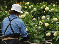 日々の作業に感謝です