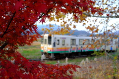 もみじと鉄道むすめ