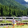 ヨーデルの森08