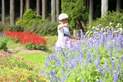 ヨーデルの森07