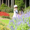 ヨーデルの森07