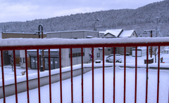 やっと冬らしく